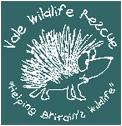 Ark Wildlife Rescue